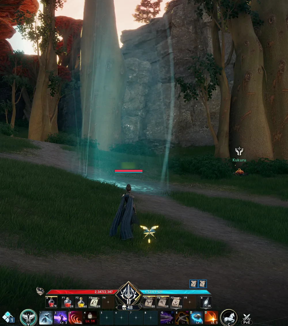 A pale column of light rising from a forest path in front of a cliff: an updraft.