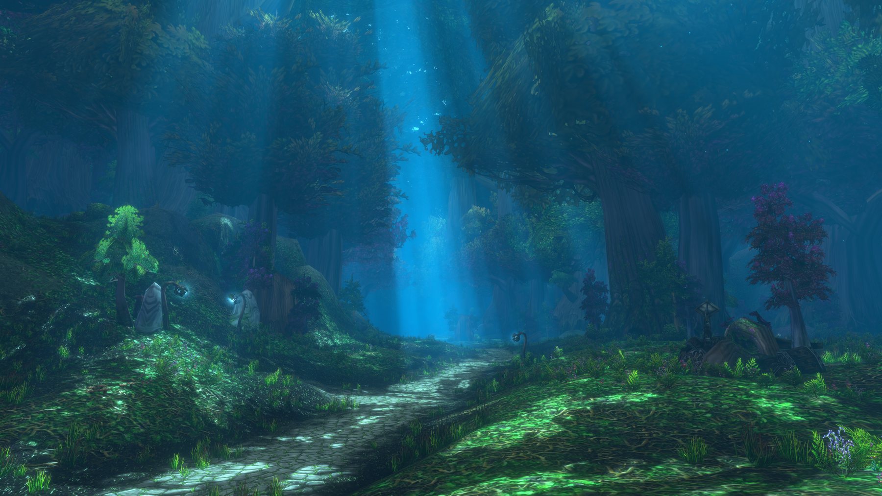 A shaft of blue light falling through the canopy onto a stone path in Ashenvale, with fog between the trees and moss lit bright green where the light lands.